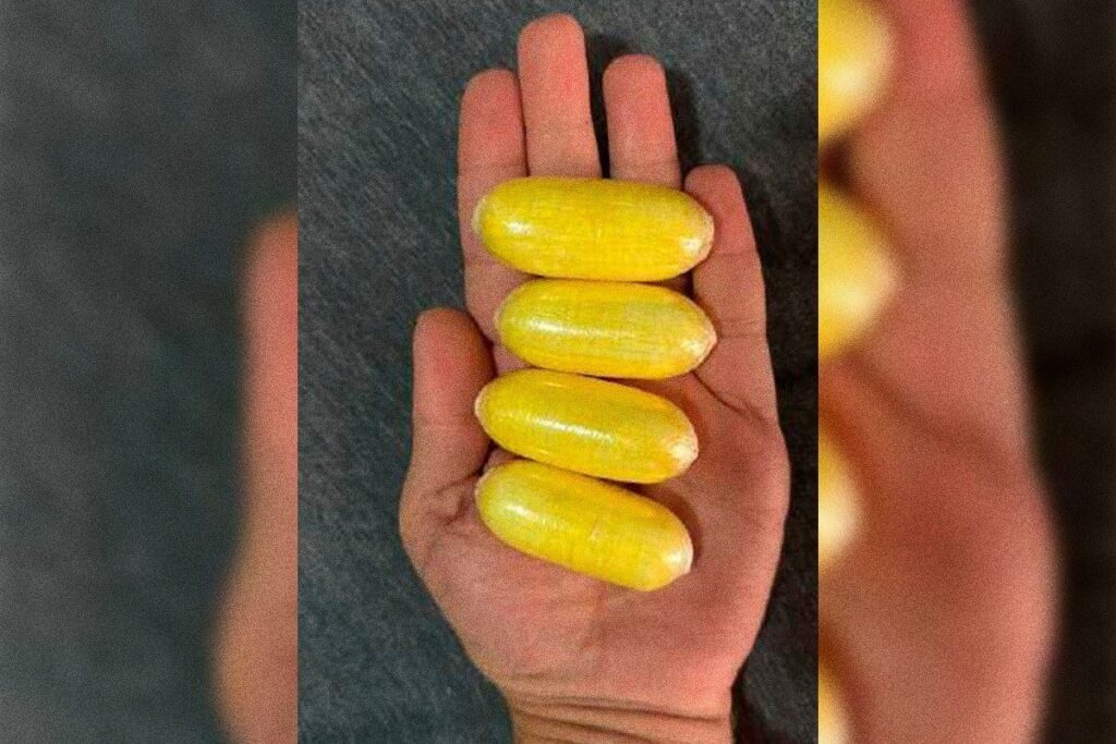 pf-busca-lideres-de-grupo-que-mandava-“mulas-engolidas”-para-a-europa