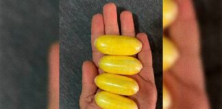 pf-busca-lideres-de-grupo-que-mandava-“mulas-engolidas”-para-a-europa