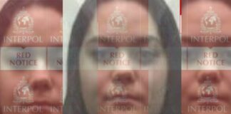 procurada-pela-interpol-por-fraude-e-presa-em-sp-e-solta-horas-depois