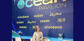 cop30:-oceanos-podem-cortar-35%-das-emissoes-de-co₂-ate-2050