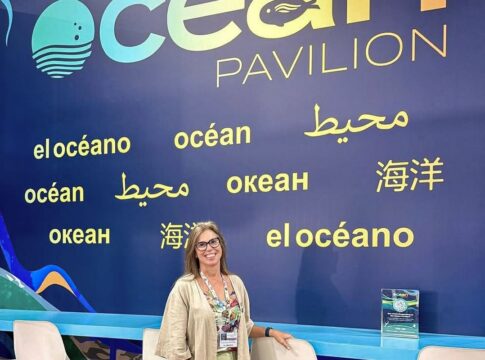 cop30:-oceanos-podem-cortar-35%-das-emissoes-de-co₂-ate-2050