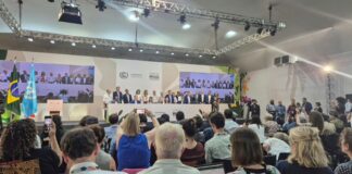 brasil-tem-apoio-de-mais-de-80-paises-para-fim-de-combustiveis-fosseis