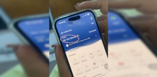 minha-fraude,-minha-vida:-sem-trabalho,-“deusa”-guardava-r$-100-mil