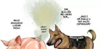 charge-do-aroeira
