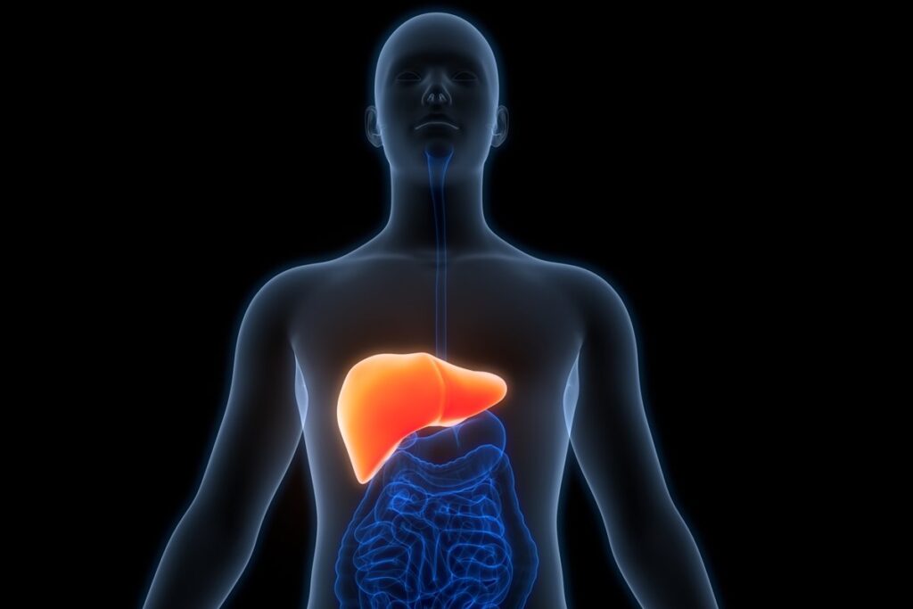 hepatologista-cita-quais-chas-podem-ser-toxicos-para-a-saude-do-figado