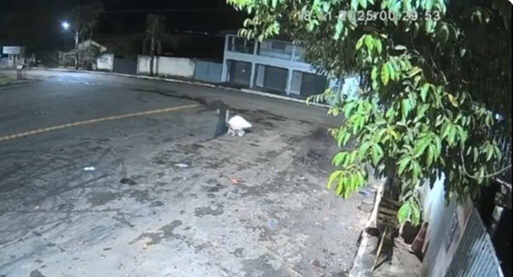 dono-de-bar-e-assassinado-e-transportado-em-carrinho-de-mao-em-goias