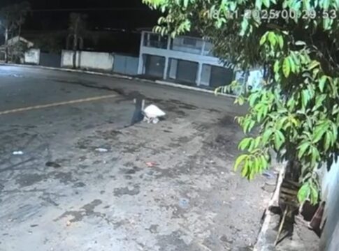 dono-de-bar-e-assassinado-e-transportado-em-carrinho-de-mao-em-goias