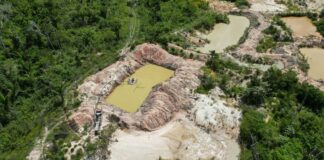 presenca-de-faccoes-criminosas-na-amazonia-cresce-32%-em-um-ano