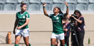 copa-do-brasil:-ferroviaria-e-palmeiras-disputam-1a-final-apos-8-anos