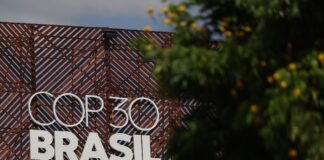 a-nave-espacial-alienigena-e-os-povos-indigenas-(por-eliane-brum)