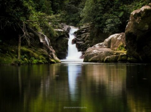 ostras-e-mel:-conheca-a-terra-quilombola-reconhecida-por-lula-em-sp