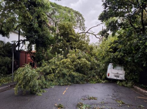 saiba-como-se-formam-e-sao-medidas-as-rajadas-de-vento