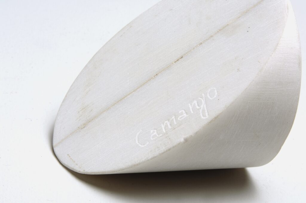 sergio-camargo-no-df:-curador-marcello-dantas-revela-bastidores-ineditos-da-megaexposicao