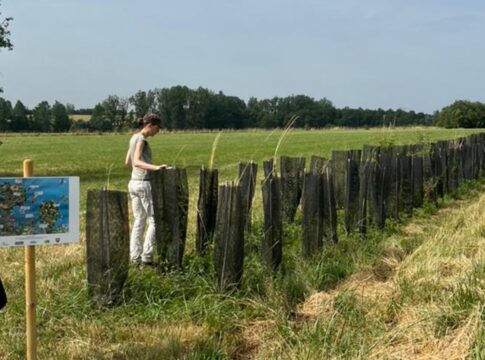 floresta-em-pe:-lavoura-e-arvores-reduzem-impacto-de-mudanca-climatica