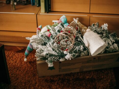 familia-encontra-“enfeites”-inusitados-em-caixa-de-pecas-de-natal