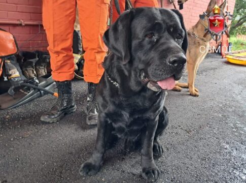 cao-do-corpo-de-bombeiros-localiza-empresaria-desaparecida-na-chapada