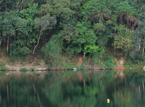prefeitura-de-sao-caetano-do-sul-anuncia-racionamento-noturno-de-agua