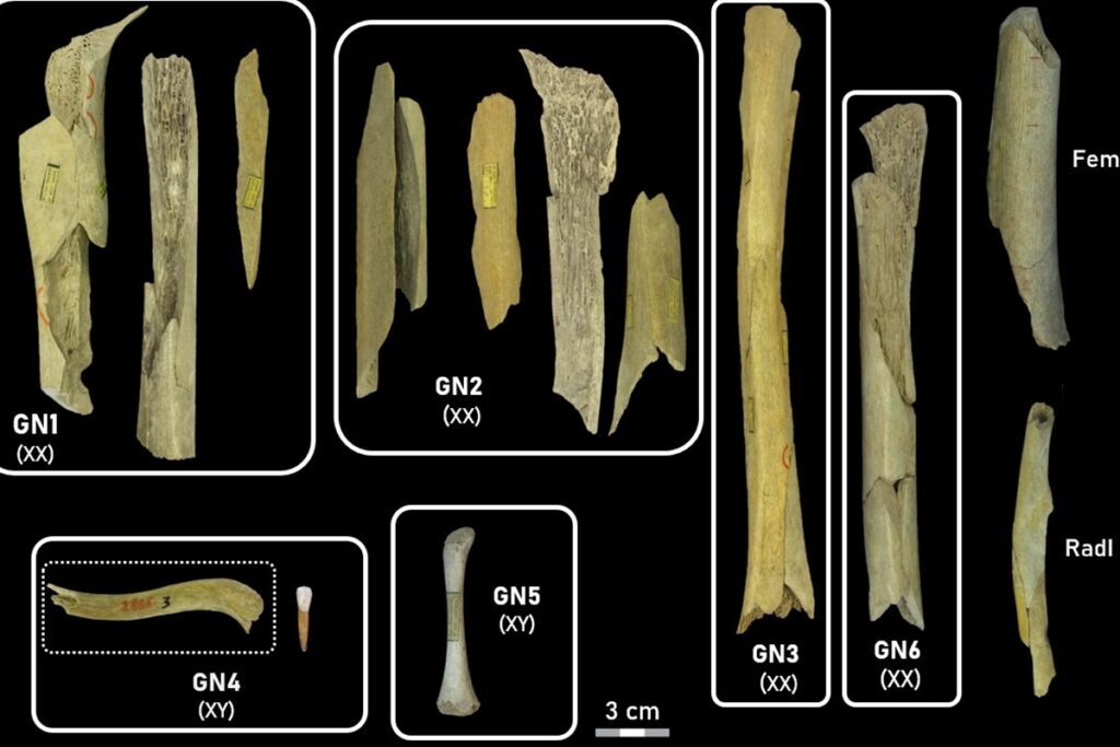 neandertais-praticavam-canibalismo-seletivo-com-mulheres-e-criancas
