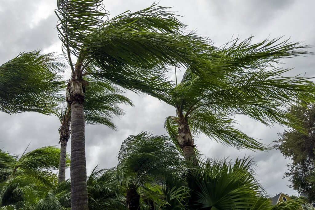 alerta-vermelho:-tempestades-e-ventania-ameacam-o-litoral-de-sao-paulo
