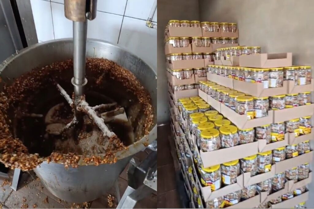 pacoca-com-coco-de-rato:-policia-identifica-fabrica-de-doces-clandestina