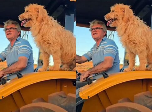 que-grude!-amizade-entre-cachorro-“carrapato”-e-tutor-conquista-a-web