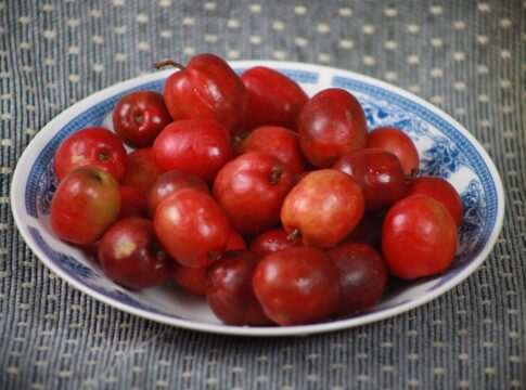 planta-com-frutos-ricos-em-vitamina-c-e-perfeita-para-cultivar-em-casa