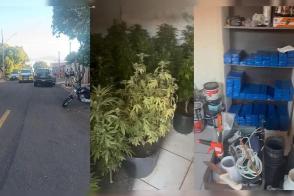 homem-morre-em-confronto-com-a-pm-ao-ser-pego-com-plantacao-de-maconha