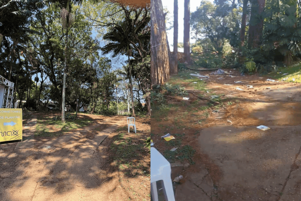 construtora-comeca-a-derrubar-384-arvores-para-erguer-condominio.-veja