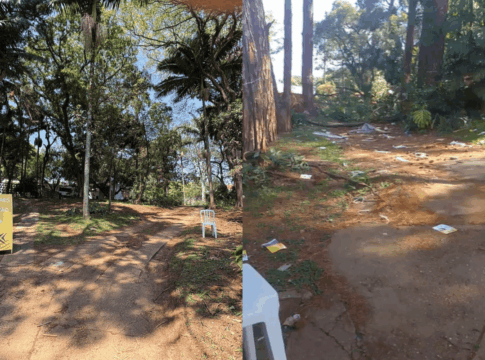 construtora-comeca-a-derrubar-384-arvores-para-erguer-condominio.-veja