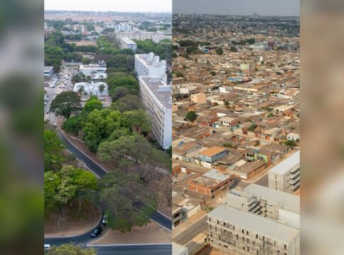 pdot-preve-arborizacao-em-regioes-com-deficit-de-cobertura-vegetal