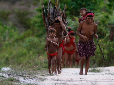 funai:-queda-de-vetos-do-pl-de-licenciamento-ameaca-terras-indigenas