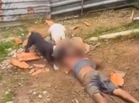 imagens-fortes:-caes-pitbull-atacam-e-matam-homem-em-lote-residencial