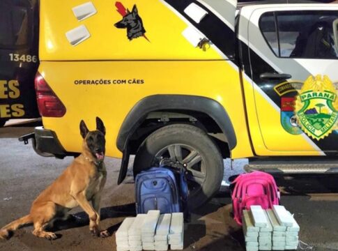 megaoperacao-mira-grupo-que-movia-1,5-tonelada-de-drogas-por-mes