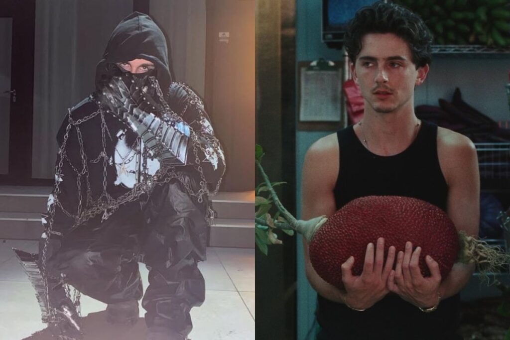 teoria-com-timothee-chalamet-dispara-buscas-por-rapper-mascarado