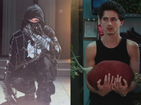 teoria-com-timothee-chalamet-dispara-buscas-por-rapper-mascarado