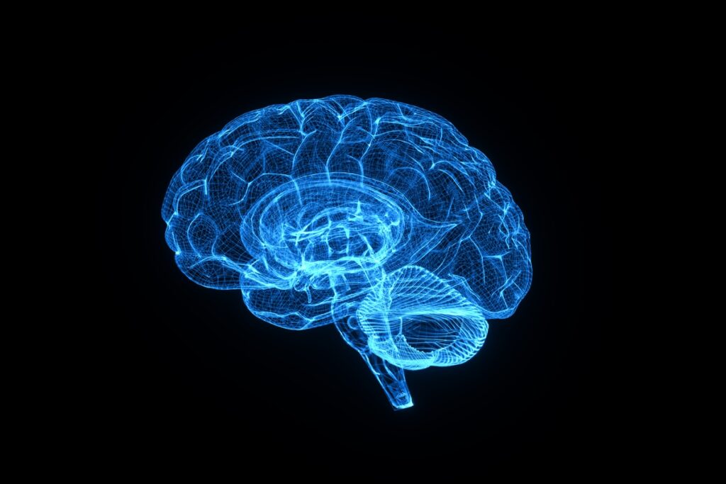 proteina-ativa-limpeza-cerebral-e-melhora-memoria-em-estudo-com-ratos