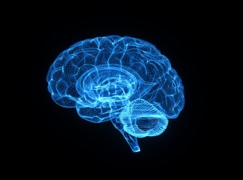 proteina-ativa-limpeza-cerebral-e-melhora-memoria-em-estudo-com-ratos