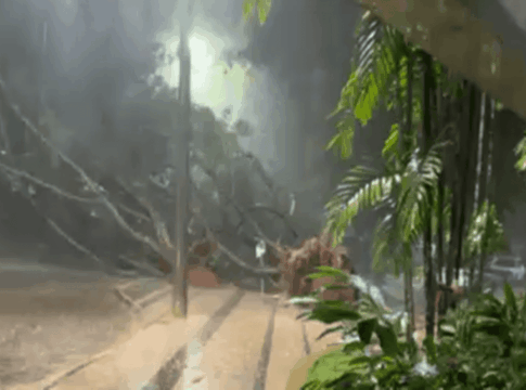 temporal-no-df-derruba-arvores-sobre-carros-e-afeta-area-do-senado