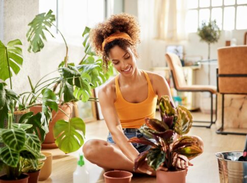 veja-4-ervas-da-sorte-para-atrair-coisas-boas-para-a-sua-vida