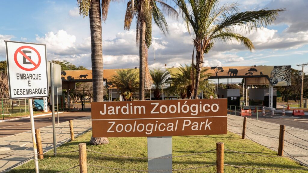 ande-em-meio-aos-passaros:-zoo-de-brasilia-inaugura-aviario-de-imersao