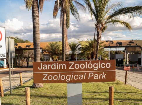 ande-em-meio-aos-passaros:-zoo-de-brasilia-inaugura-aviario-de-imersao