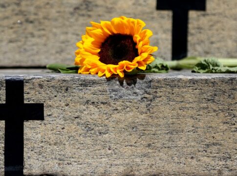 crimes-recentes-mostram-grave-cenario-de-violencia-contra-a-mulher