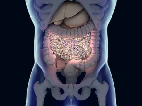 substancias-quimicas-comuns-podem-afetar-seu-intestino,-sugere-estudo