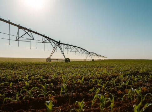 fugini-une-terra,-tradicao-e-tecnologia-para-alimentar-o-brasil