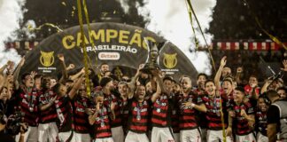 veja-o-momento-em-que-o-flamengo-levanta-a-taca-do-brasileirao