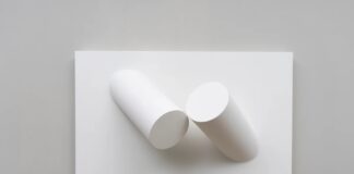 falta-pouco!-exposicao-do-escultor-sergio-camargo-tornara-o-df-epicentro-da-arte-no-brasil