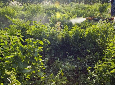 campanha-denuncia-agronegocio-por-contaminacoes-com-uso-de-agrotoxicos