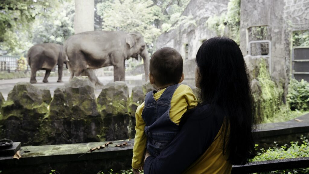 zoologico:-saiba-como-passear-em-seguranca-e-respeitar-os-animais