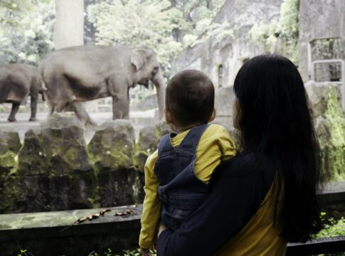 zoologico:-saiba-como-passear-em-seguranca-e-respeitar-os-animais