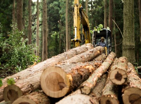 uniao-europeia-aprova-novo-adiamento-de-lei-antidesmatamento